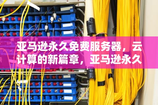 亚马逊永久免费服务器，云计算的新篇章，亚马逊永久免费服务器是什么