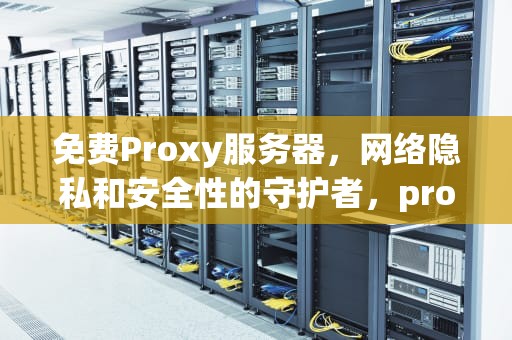 免费Proxy服务器，网络隐私和安全性的守护者，proxy server pro