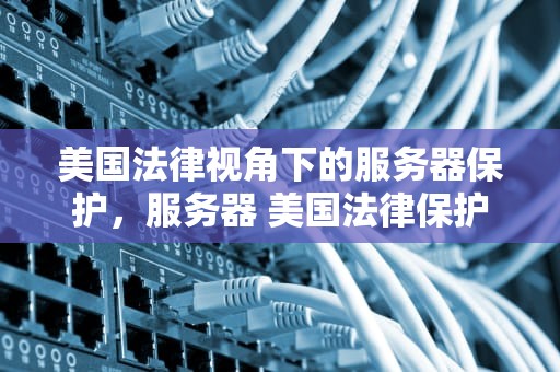 美国法律视角下的服务器保护，服务器 美国法律保护
