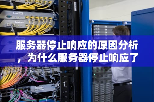 服务器停止响应的原因分析，为什么服务器停止响应了