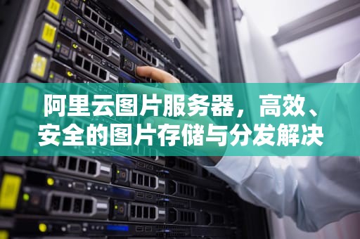 阿里云图片服务器，高效、安全的图片存储与分发解决方案，阿里云图片服务器oss