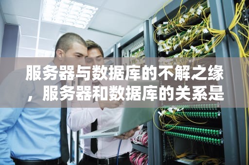 服务器与数据库的不解之缘，服务器和数据库的关系是什么