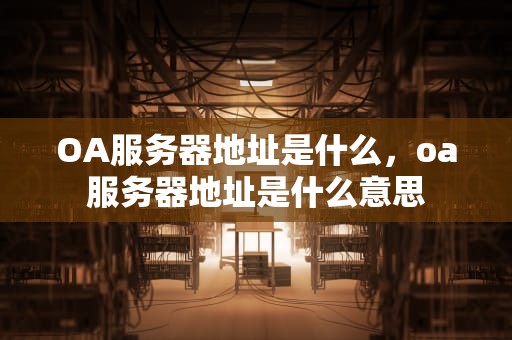 OA服务器地址是什么，oa服务器地址是什么意思