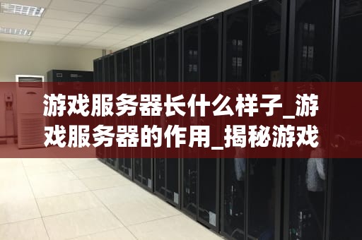 游戏服务器长什么样子_游戏服务器的作用_揭秘游戏服务器的神秘面纱