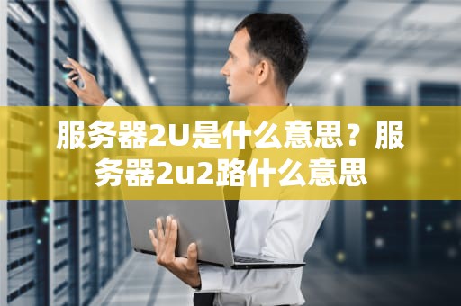 服务器2U是什么意思？服务器2u2路什么意思
