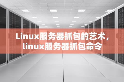 Linux服务器抓包的艺术，linux服务器抓包命令