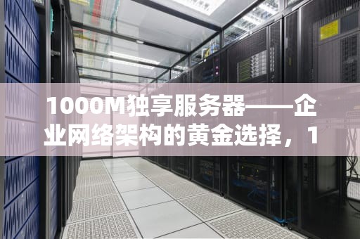 1000M独享服务器——企业网络架构的黄金选择，100m独享云服务器