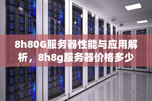 8h80G服务器性能与应用解析，8h8g服务器价格多少