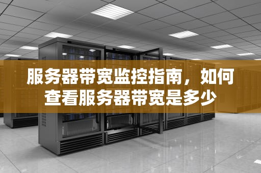 服务器带宽监控指南，如何查看服务器带宽是多少