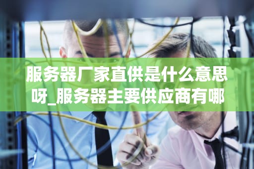 服务器厂家直供是什么意思呀_服务器主要供应商有哪些_服务器厂家直供的含义与优势