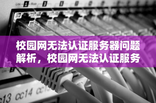 校园网无法认证服务器问题解析，校园网无法认证服务器咋回事
