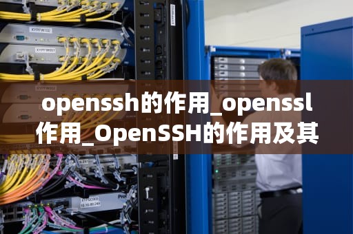 openssh的作用_openssl作用_OpenSSH的作用及其在网络安全中的重要性