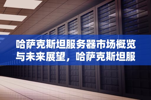 哈萨克斯坦服务器市场概览与未来展望，哈萨克斯坦服务器选择