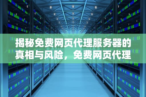 揭秘免费网页代理服务器的真相与风险，免费网页代理服务器有哪些