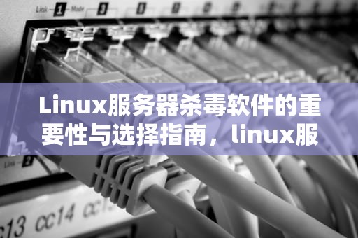 Linux服务器杀毒软件的重要性与选择指南，linux服务器杀毒软件推荐