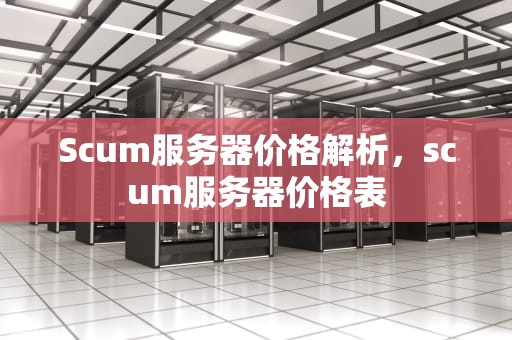 Scum服务器价格解析，scum服务器价格表