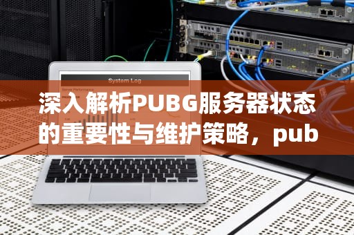 深入解析PUBG服务器状态的重要性与维护策略，pubg服务器状态查询