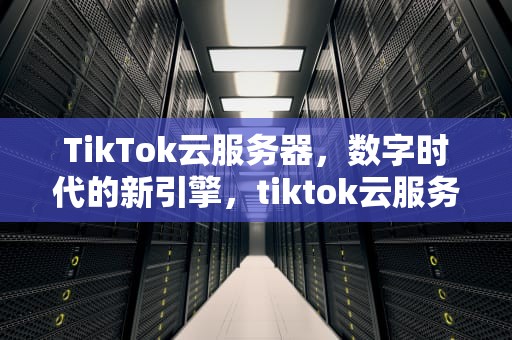 TikTok云服务器，数字时代的新引擎，tiktok云服务器购买