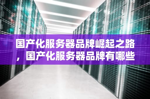 国产化服务器品牌崛起之路，国产化服务器品牌有哪些
