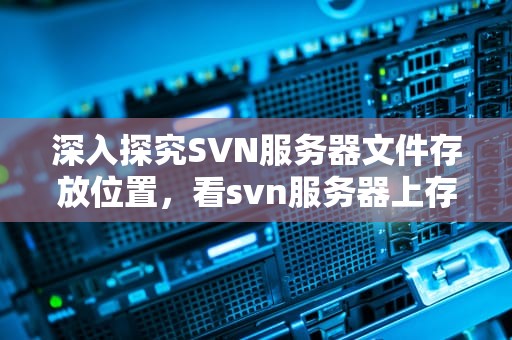 深入探究SVN服务器文件存放位置，看svn服务器上存的文件