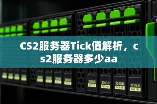 CS2服务器Tick值解析，cs2服务器多少aa