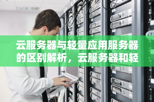 云服务器与轻量应用服务器的区别解析，云服务器和轻量应用服务器区别在哪