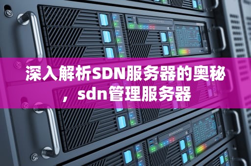 深入解析SDN服务器的奥秘，sdn管理服务器