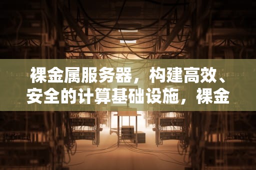裸金属服务器，构建高效、安全的计算基础设施，裸金属和云服务器的差别