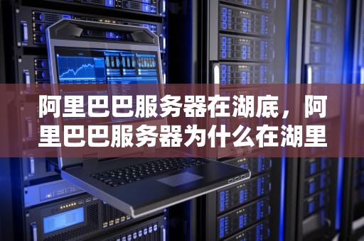阿里巴巴服务器在湖底，阿里巴巴服务器为什么在湖里