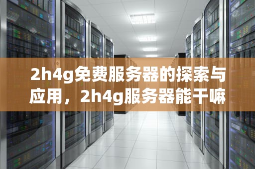 2h4g免费服务器的探索与应用，2h4g服务器能干嘛