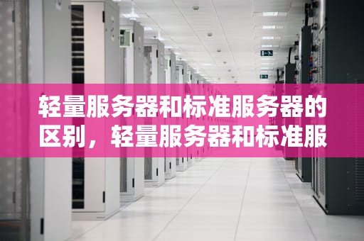 轻量服务器和标准服务器的区别，轻量服务器和标准服务器区别在哪