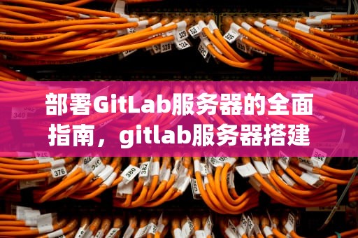 部署GitLab服务器的全面指南，gitlab服务器搭建