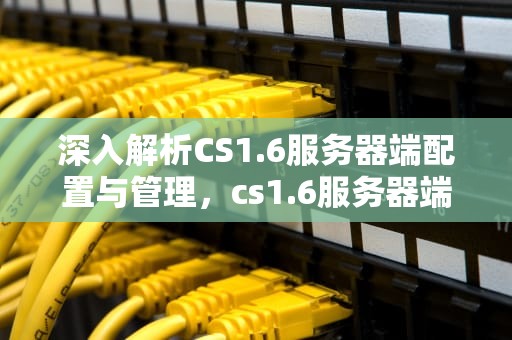 深入解析CS1.6服务器端配置与管理，cs1.6服务器端插件