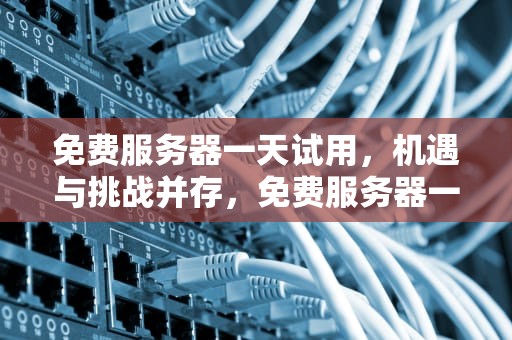 免费服务器一天试用，机遇与挑战并存，免费服务器一天试用多久