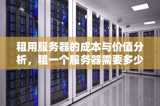 租用服务器的成本与价值分析，租一个服务器需要多少钱呢