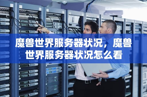 魔兽世界服务器状况，魔兽世界服务器状况怎么看