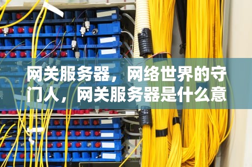 网关服务器，网络世界的守门人，网关服务器是什么意思