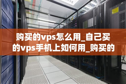 购买的vps怎么用_自己买的vps手机上如何用_购买的VPS怎么用——一步步引导你掌握VPS的使用