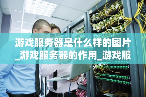 游戏服务器是什么样的图片_游戏服务器的作用_游戏服务器的图像与功能