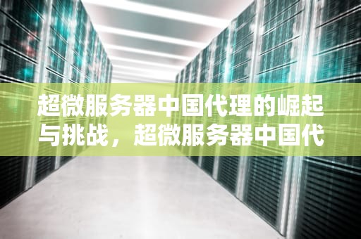 超微服务器中国代理的崛起与挑战，超微服务器中国代理2002
