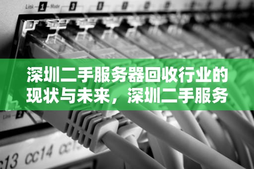 深圳二手服务器回收行业的现状与未来，深圳二手服务器回收公司