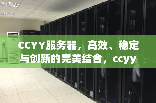 CCYY服务器，高效、稳定与创新的完美结合，ccyy服务器联通快速
