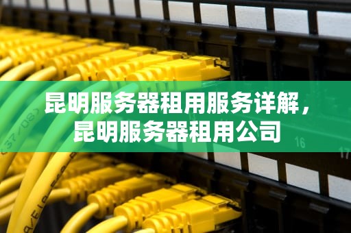 昆明服务器租用服务详解，昆明服务器租用公司