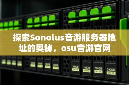 探索Sonolus音游服务器地址的奥秘，osu音游官网