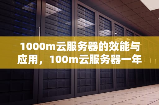 1000m云服务器的效能与应用，100m云服务器一年多少钱