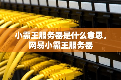 小霸王服务器是什么意思，网易小霸王服务器