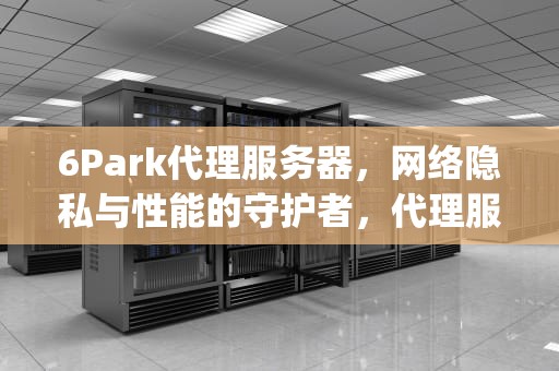 6Park代理服务器，网络隐私与性能的守护者，代理服务器ipv6