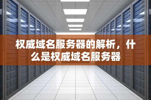 权威域名服务器的解析，什么是权威域名服务器
