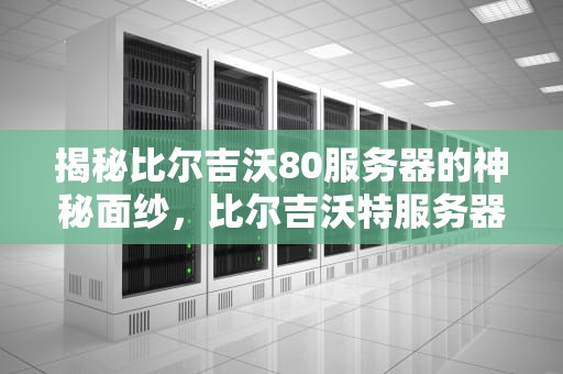 揭秘比尔吉沃80服务器的神秘面纱，比尔吉沃特服务器在哪个城市使用