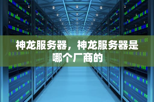 神龙服务器，神龙服务器是哪个厂商的